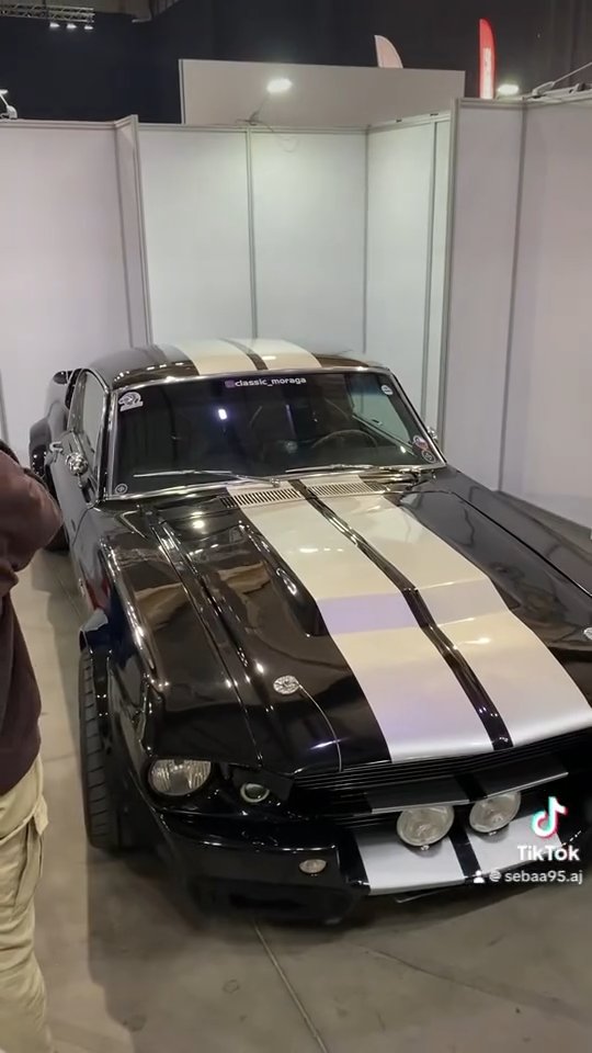 Mustang